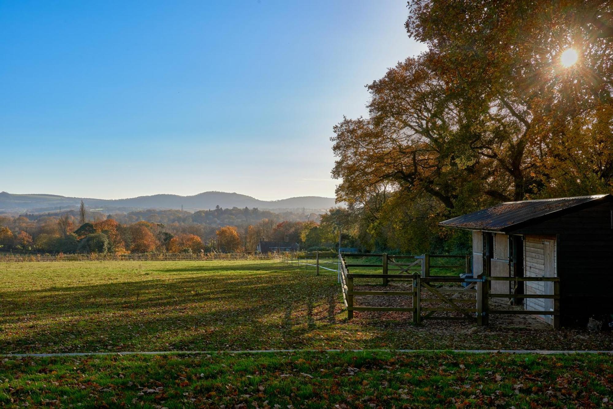 Stunning Cabin With Incredible Views Near Goodwood Rogate Luaran gambar
