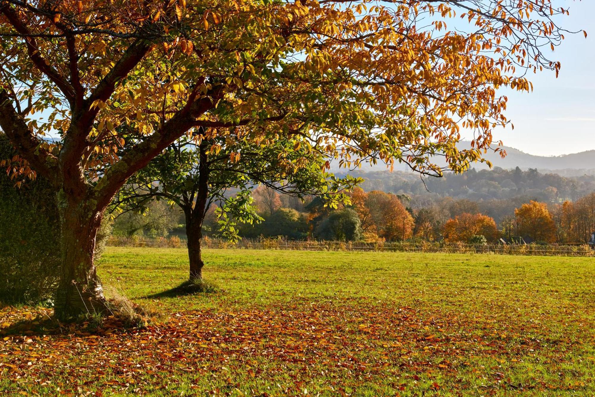 Stunning Cabin With Incredible Views Near Goodwood Rogate Luaran gambar