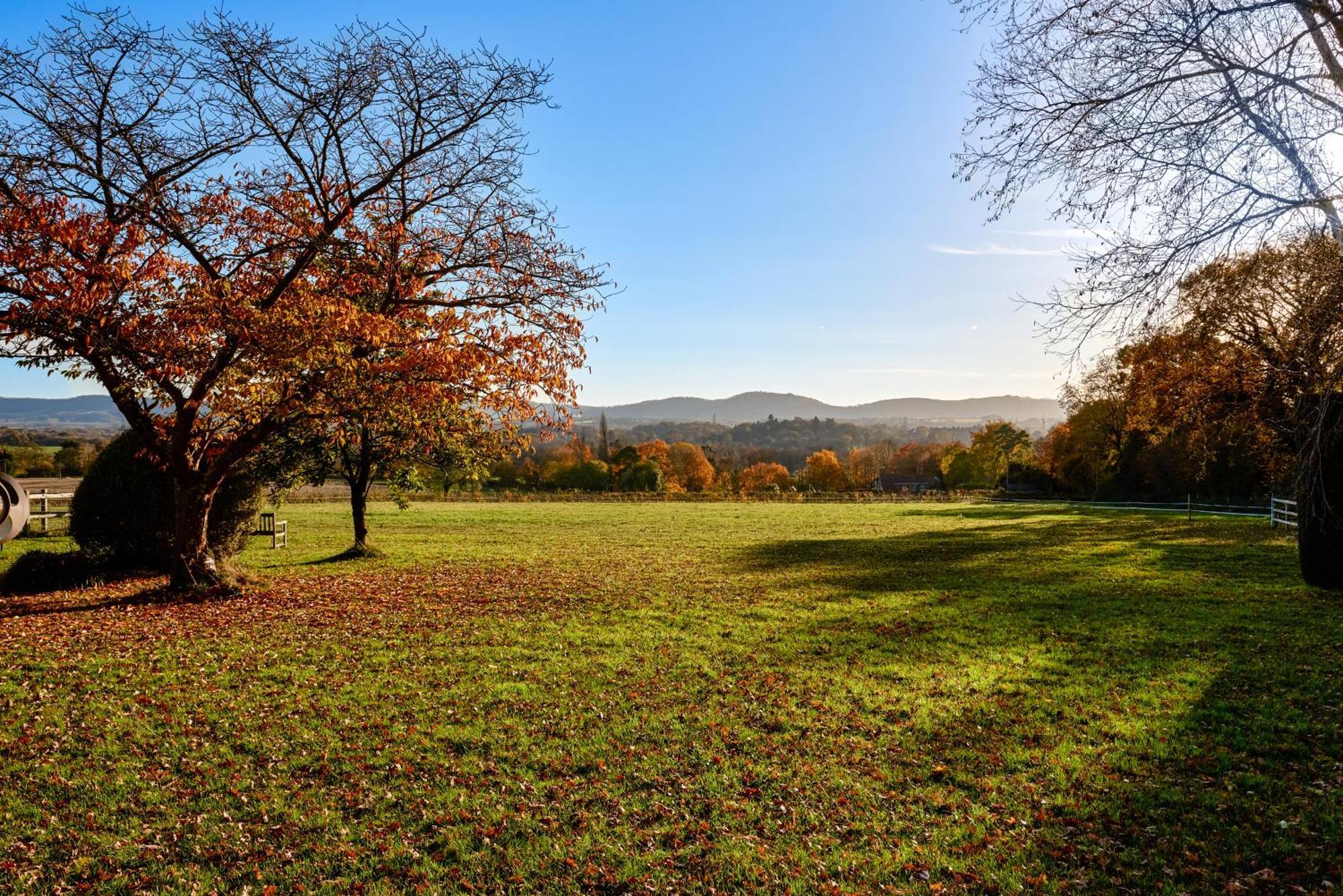Stunning Cabin With Incredible Views Near Goodwood Rogate Luaran gambar