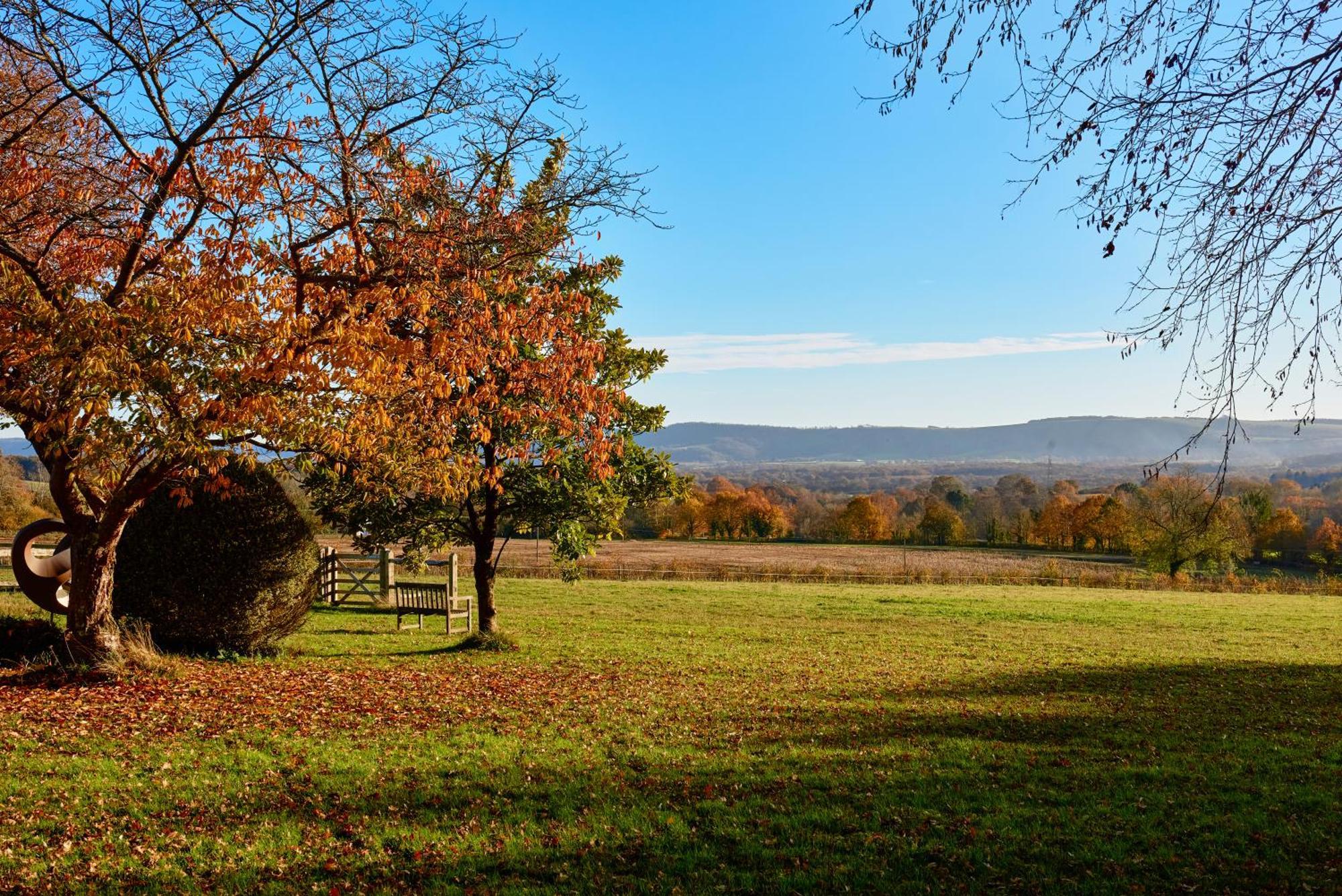 Stunning Cabin With Incredible Views Near Goodwood Rogate Luaran gambar