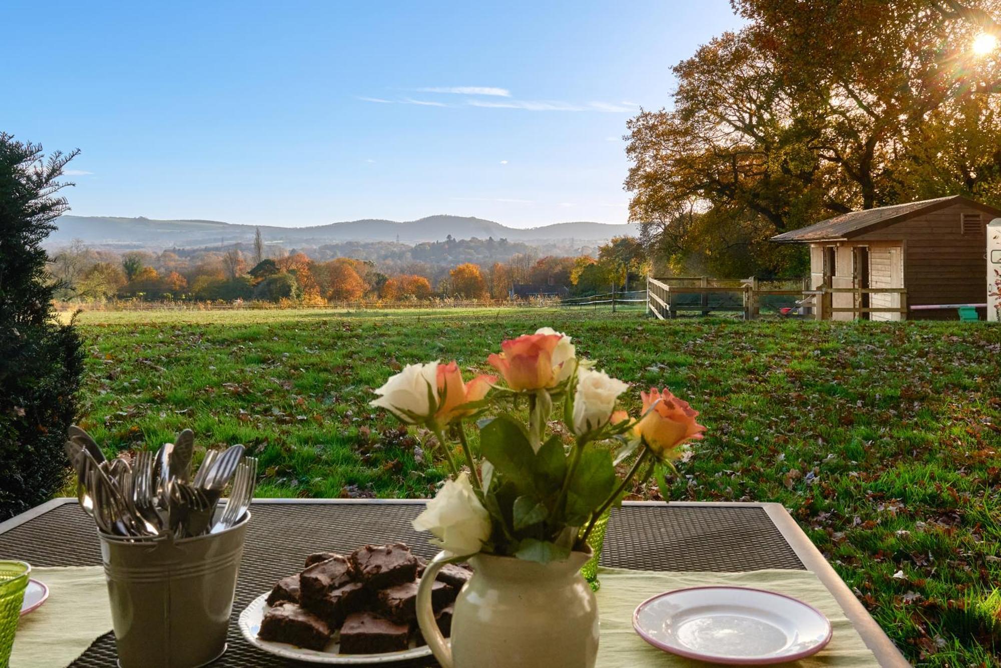 Stunning Cabin With Incredible Views Near Goodwood Rogate Luaran gambar