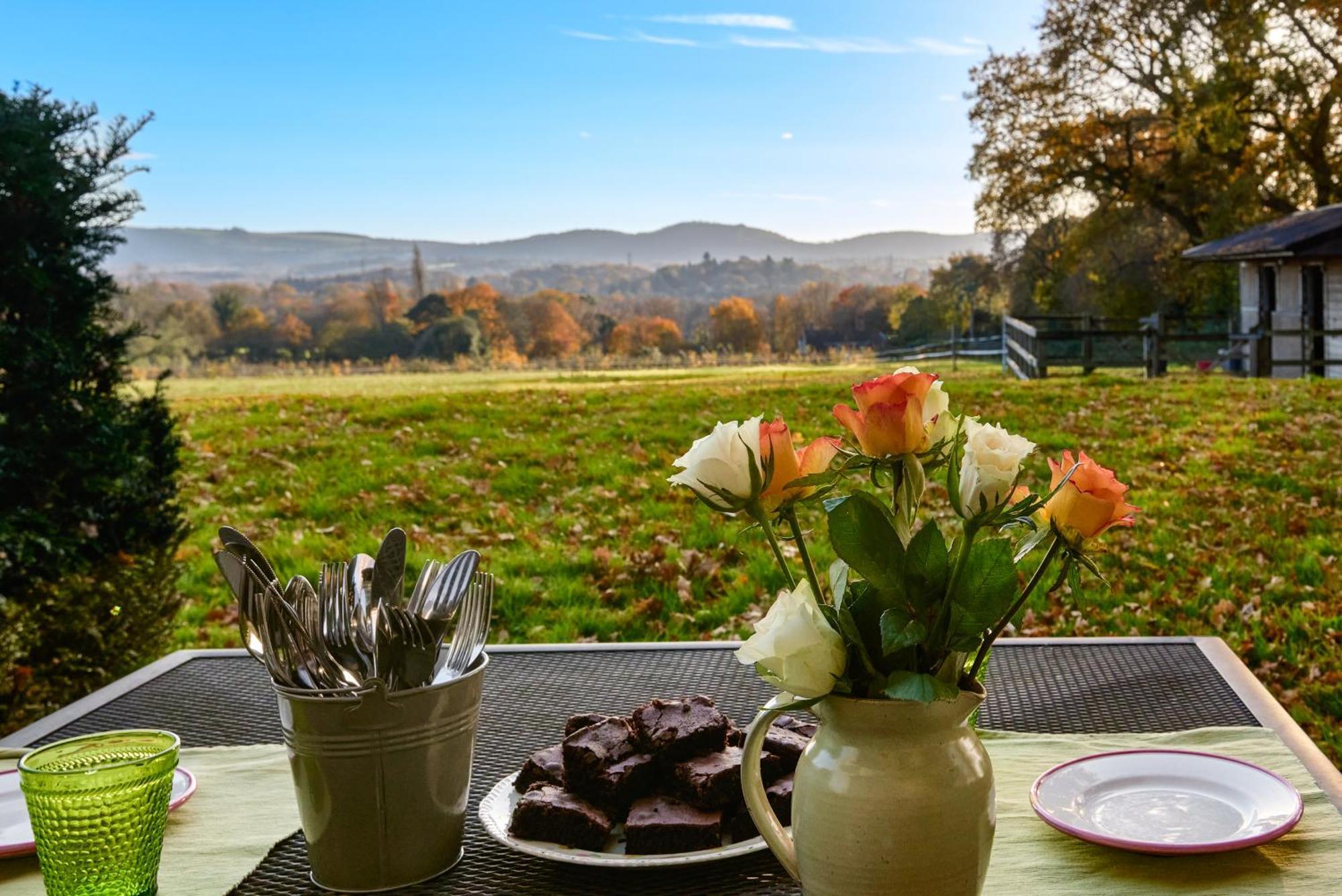 Stunning Cabin With Incredible Views Near Goodwood Rogate Luaran gambar